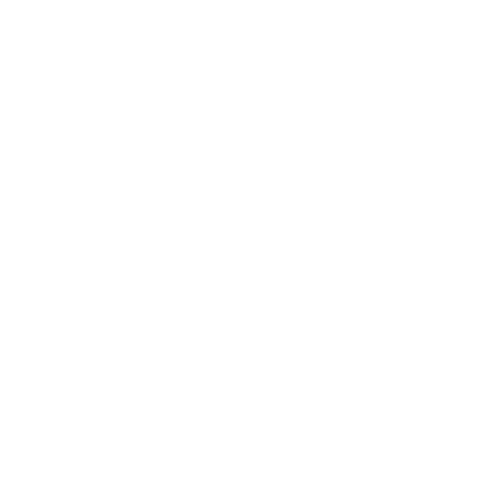 NSW Government logo